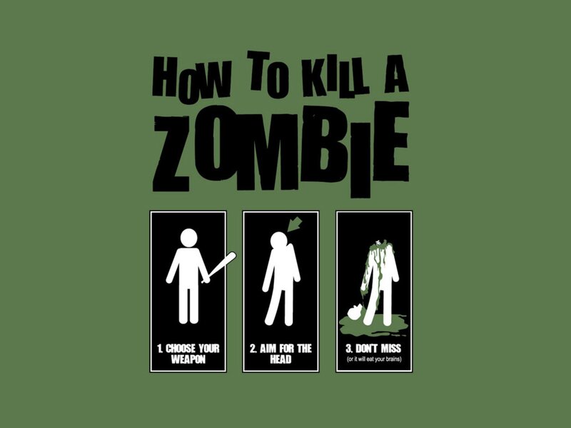 Zombie Killing Guide — Illustration