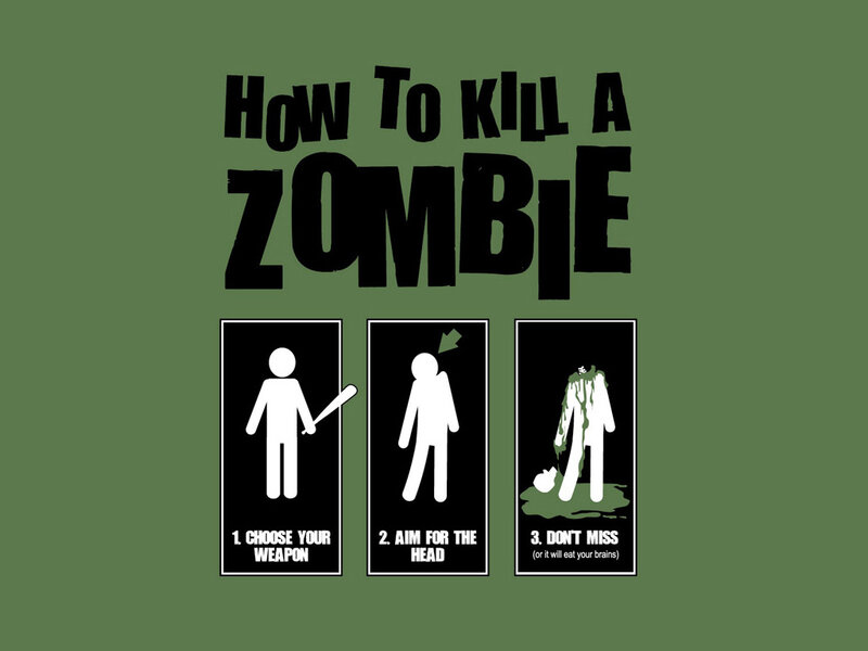 Zombie Killing Guide