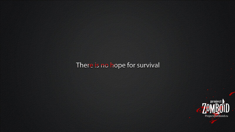 Zomboid survival message
