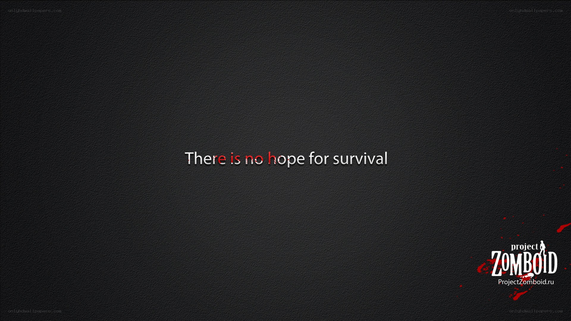 Zomboid survival message