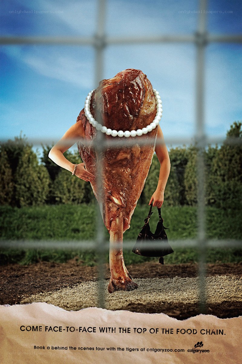 zoo food chain ad