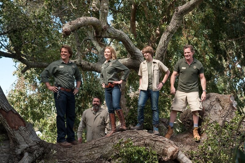 Zoo staff on tree trunk