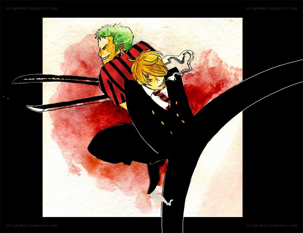 Zoro and Sanji in action