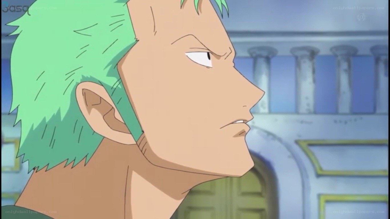 Zoro from One Piece