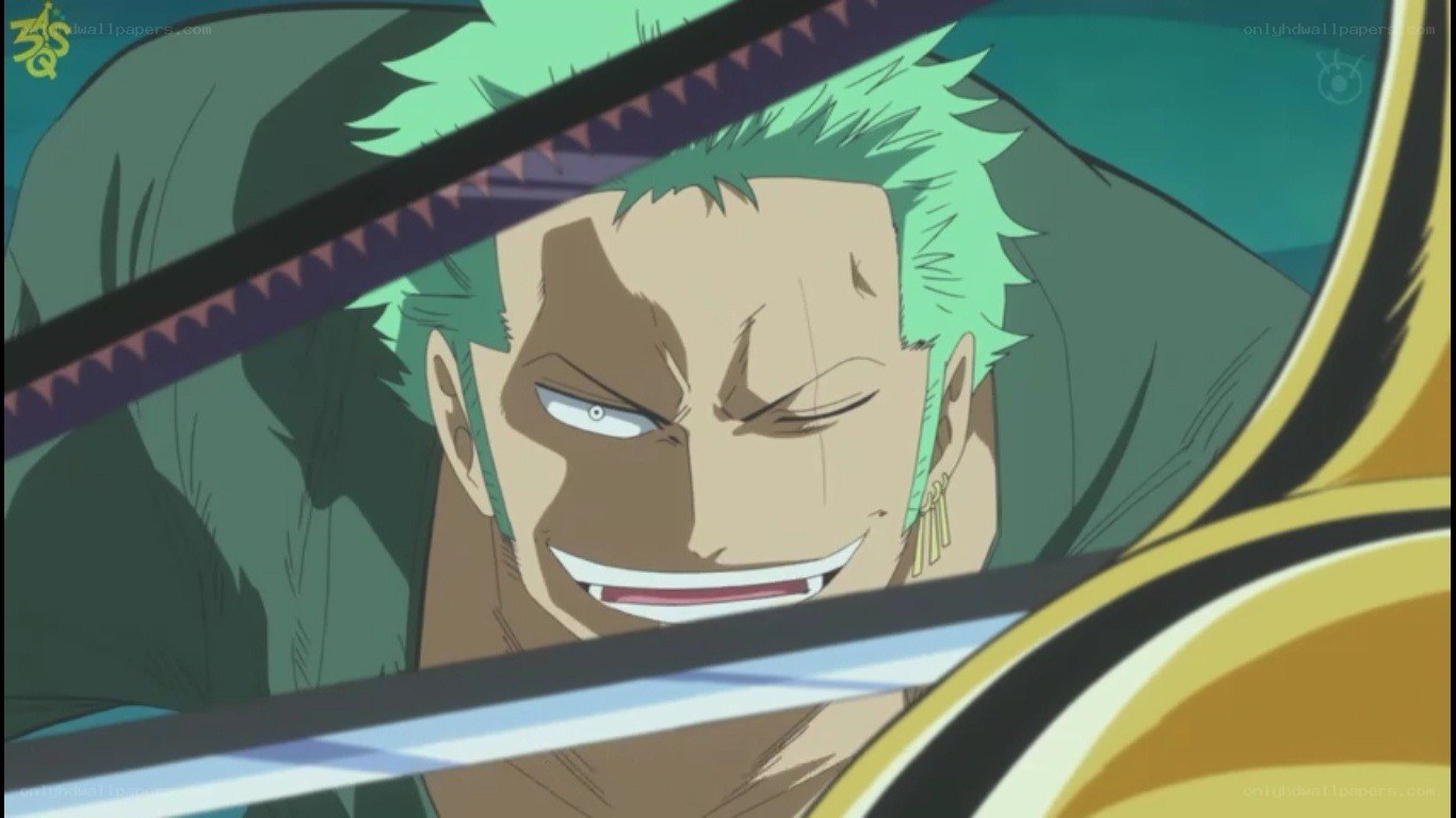 Zoro in a battle stance