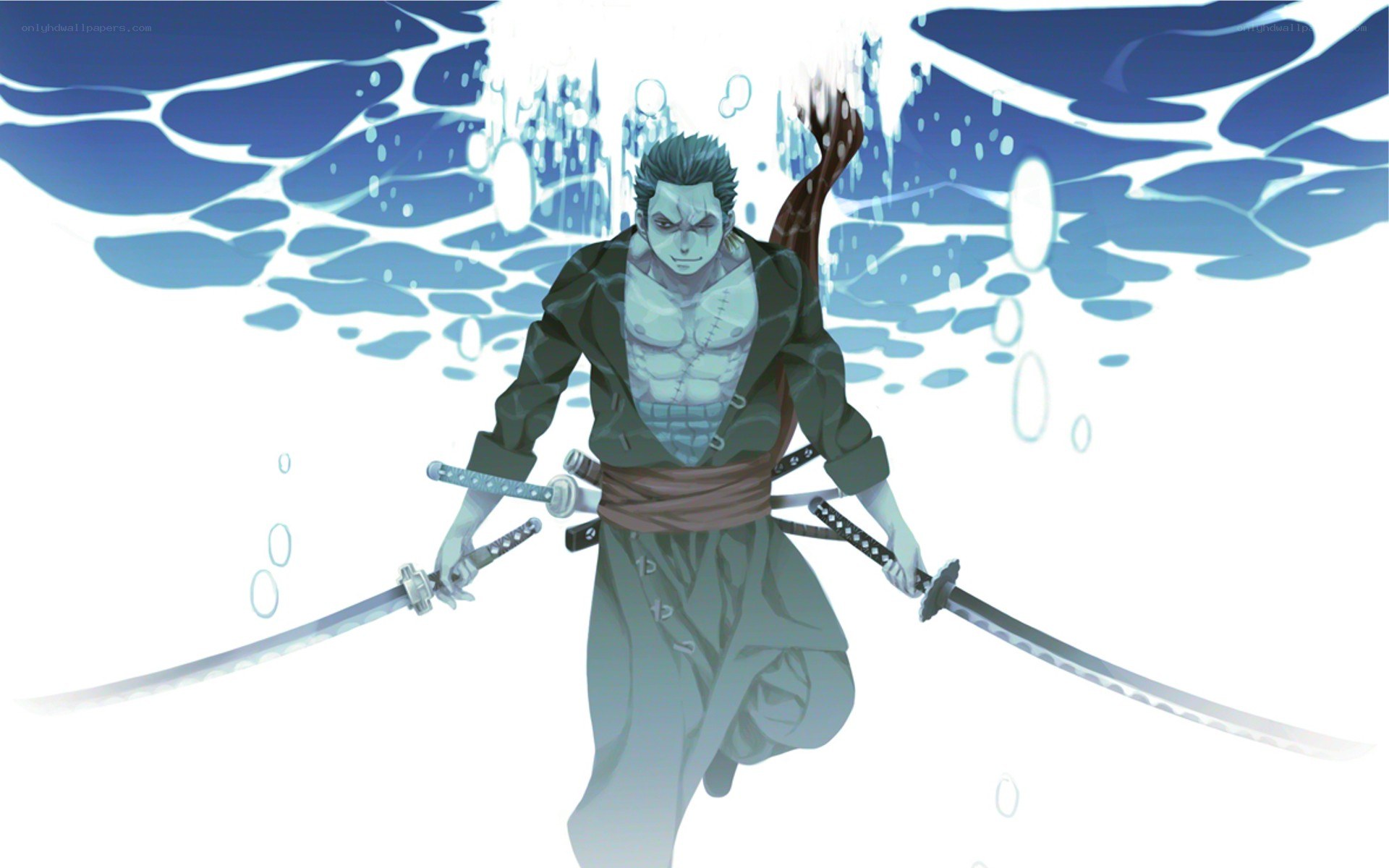 Zoro in the water
