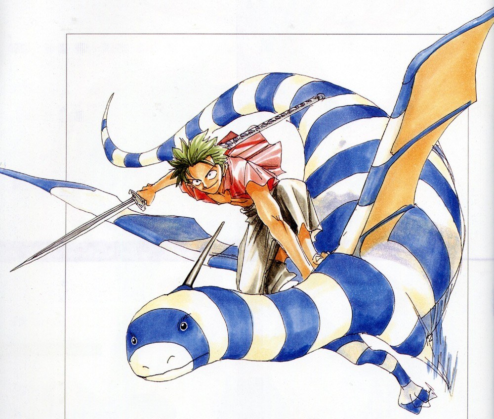 Zoro riding a striped dragon