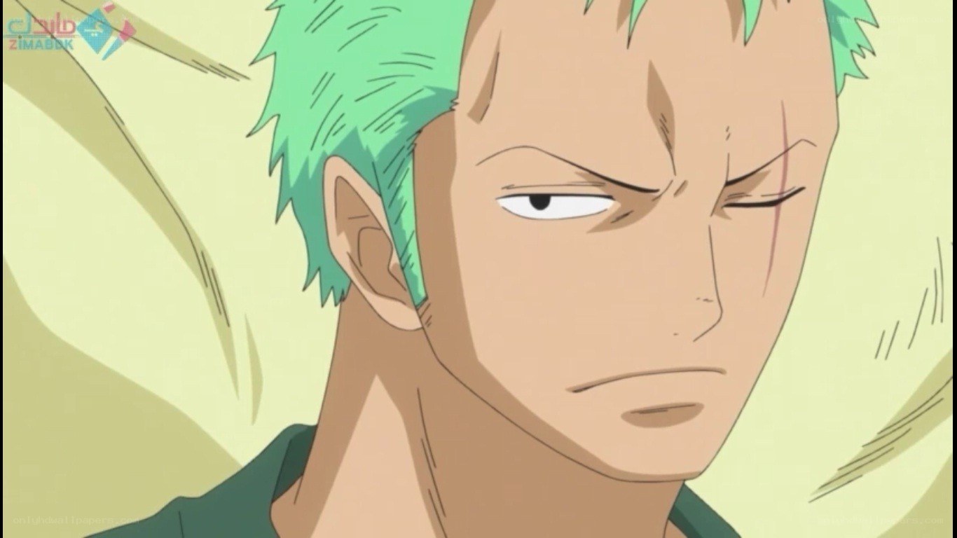 Zoro with a scar