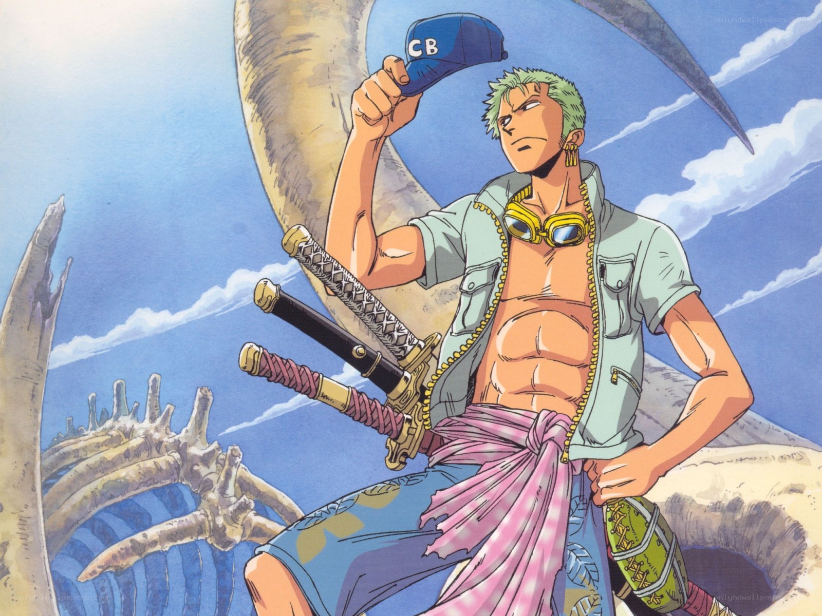 Zoro with three swords