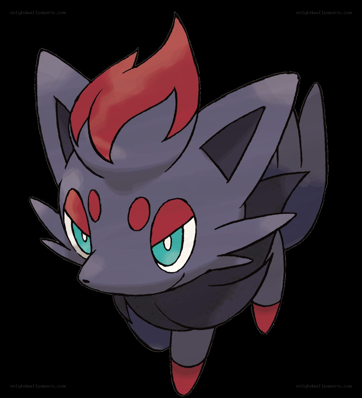 Zorua from Pokémon