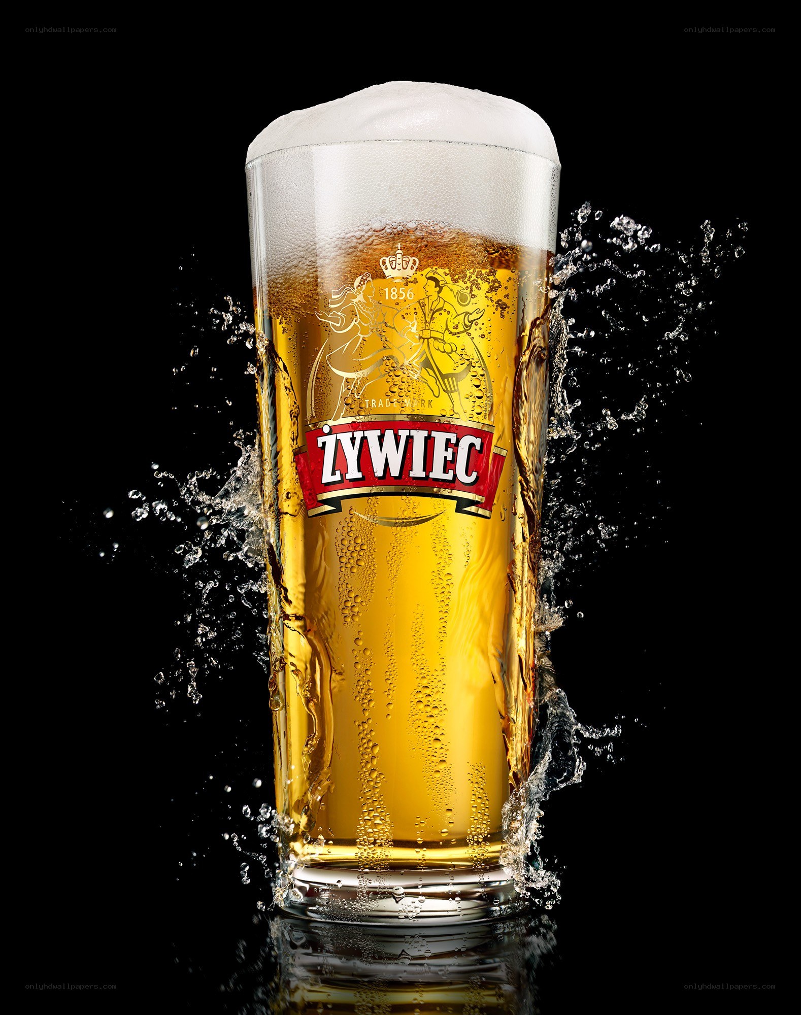 Zywiec beer with splash